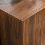 70" Modern TV Stand